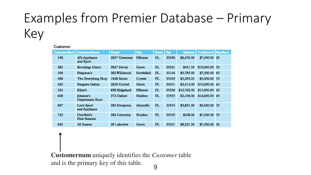 examples from premier database primary key 1