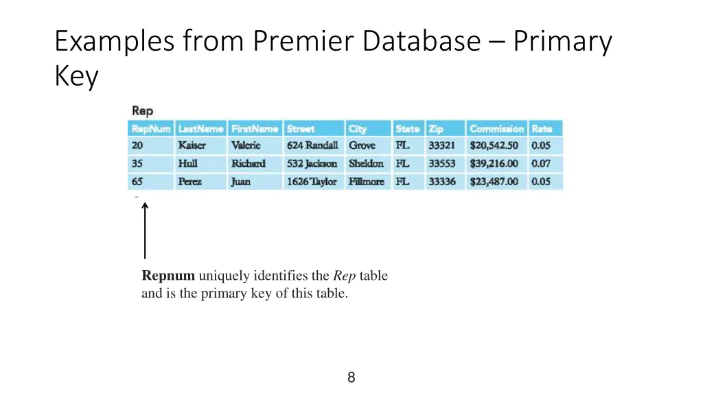 examples from premier database primary key