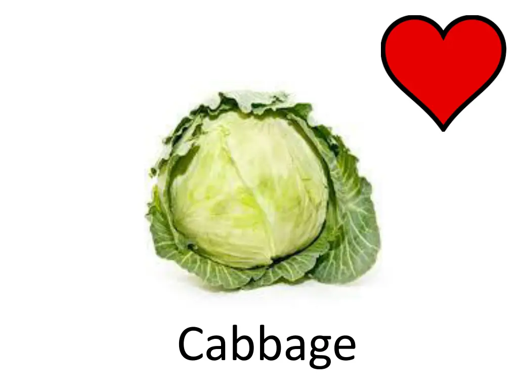 cabbage