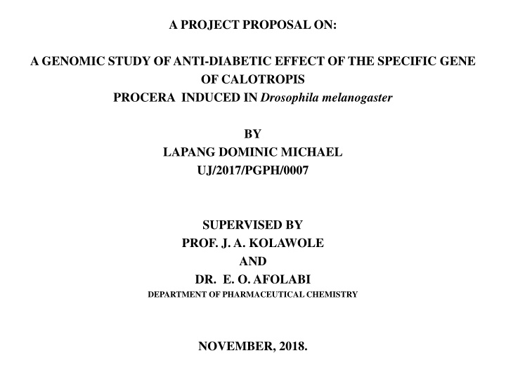 a project proposal on