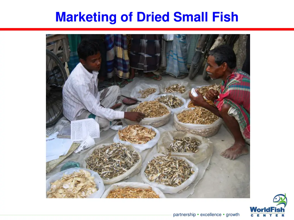 marketing of dried small fish
