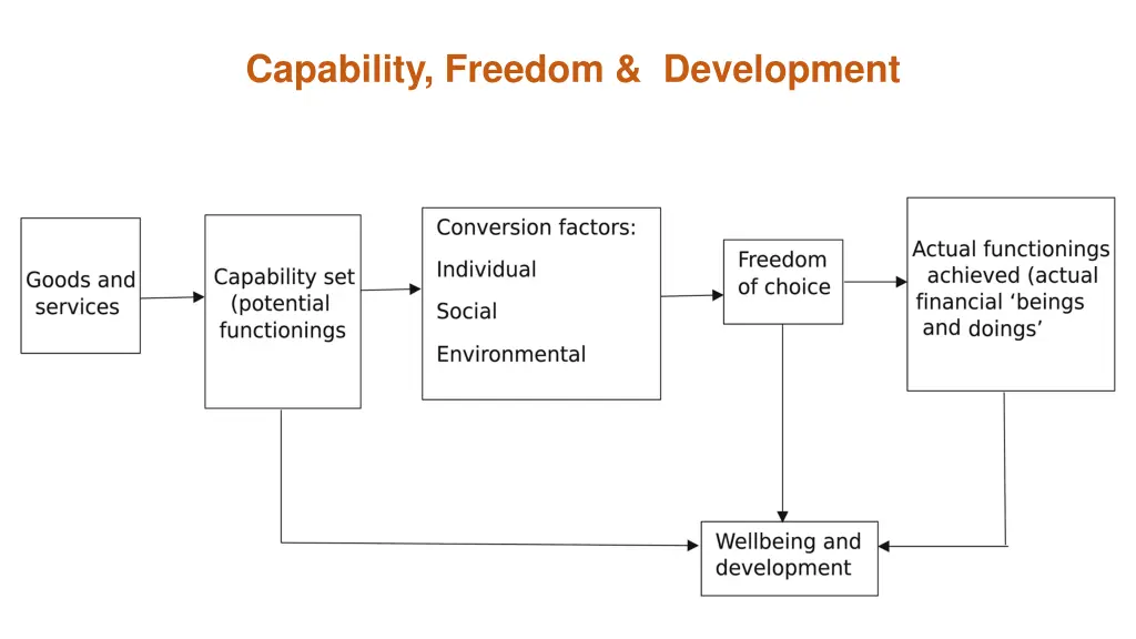 capability freedom development