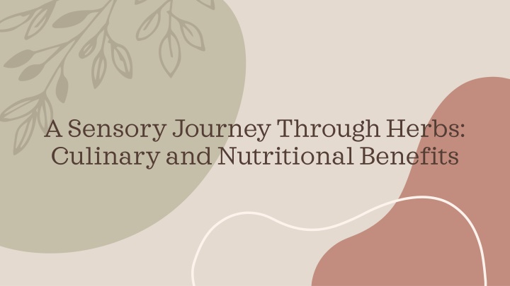 a sensory journey through herbs culinary