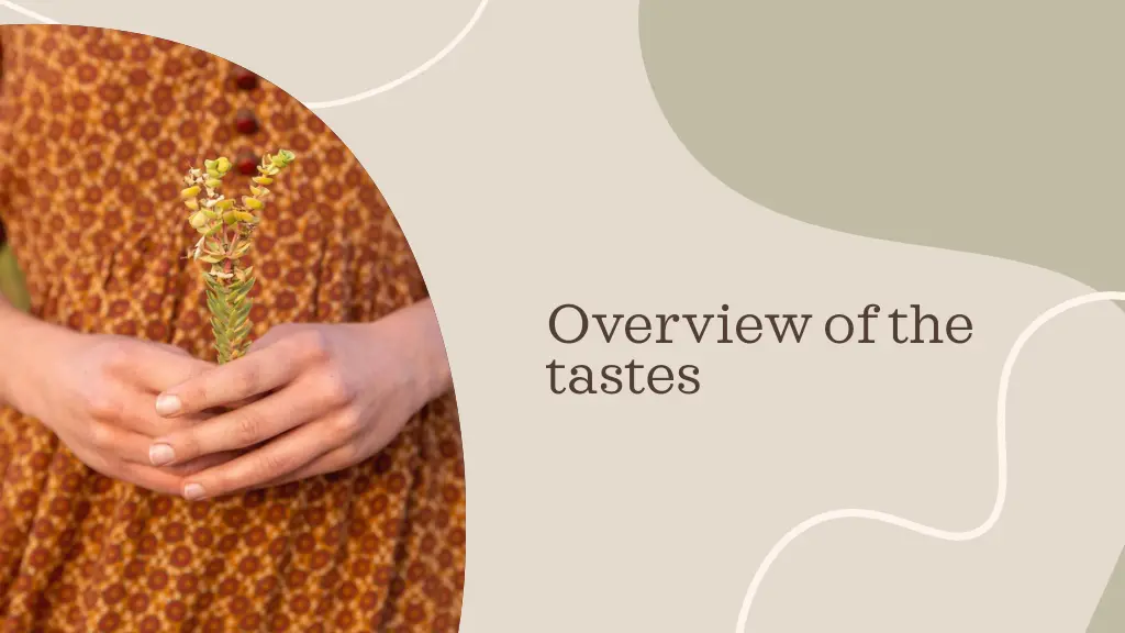 overview of the tastes