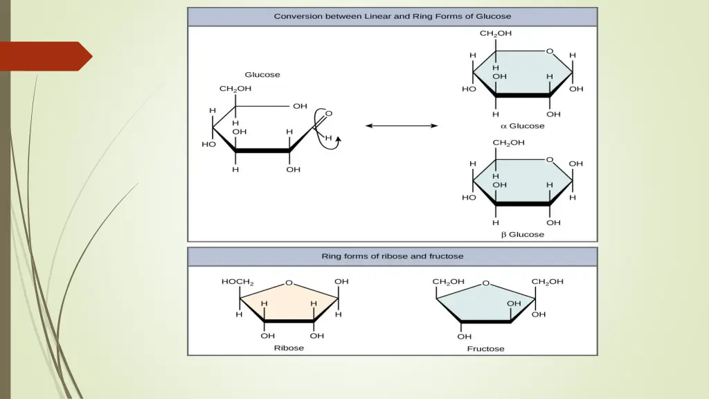 slide11