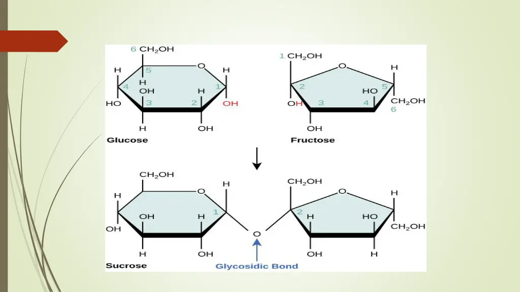 slide13