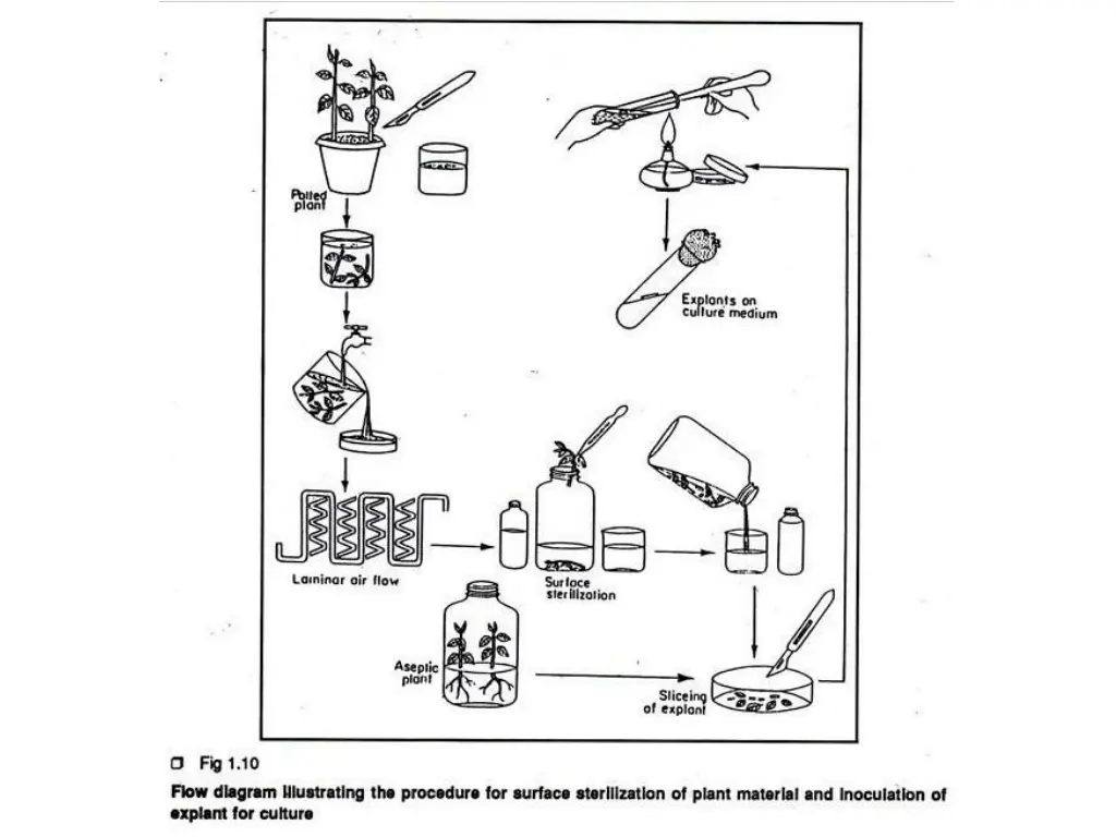 slide26