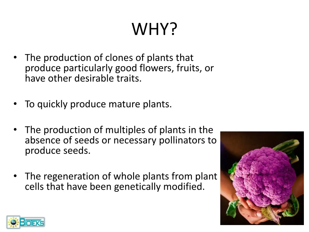slide3