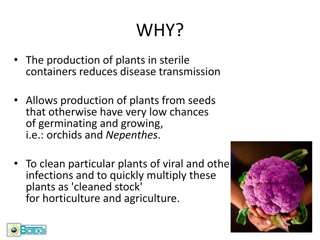 slide4