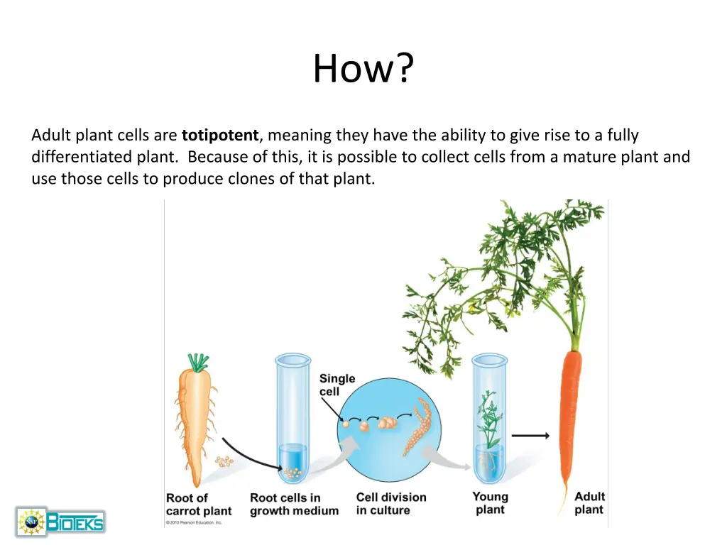 slide6