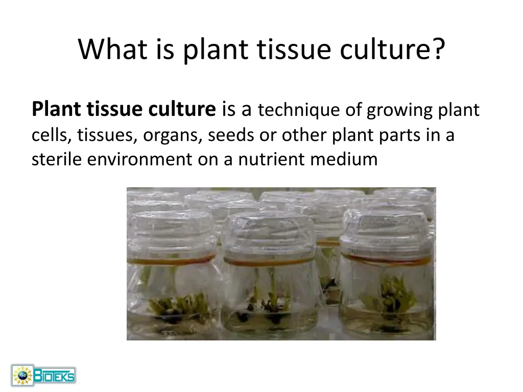 what is plant tissue culture