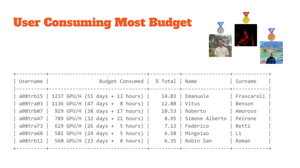 user consuming most budget