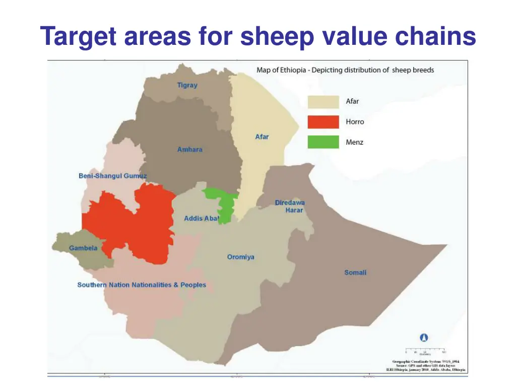 target areas for sheep value chains