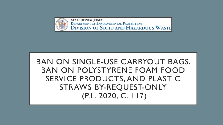 ban on single use carryout bags
