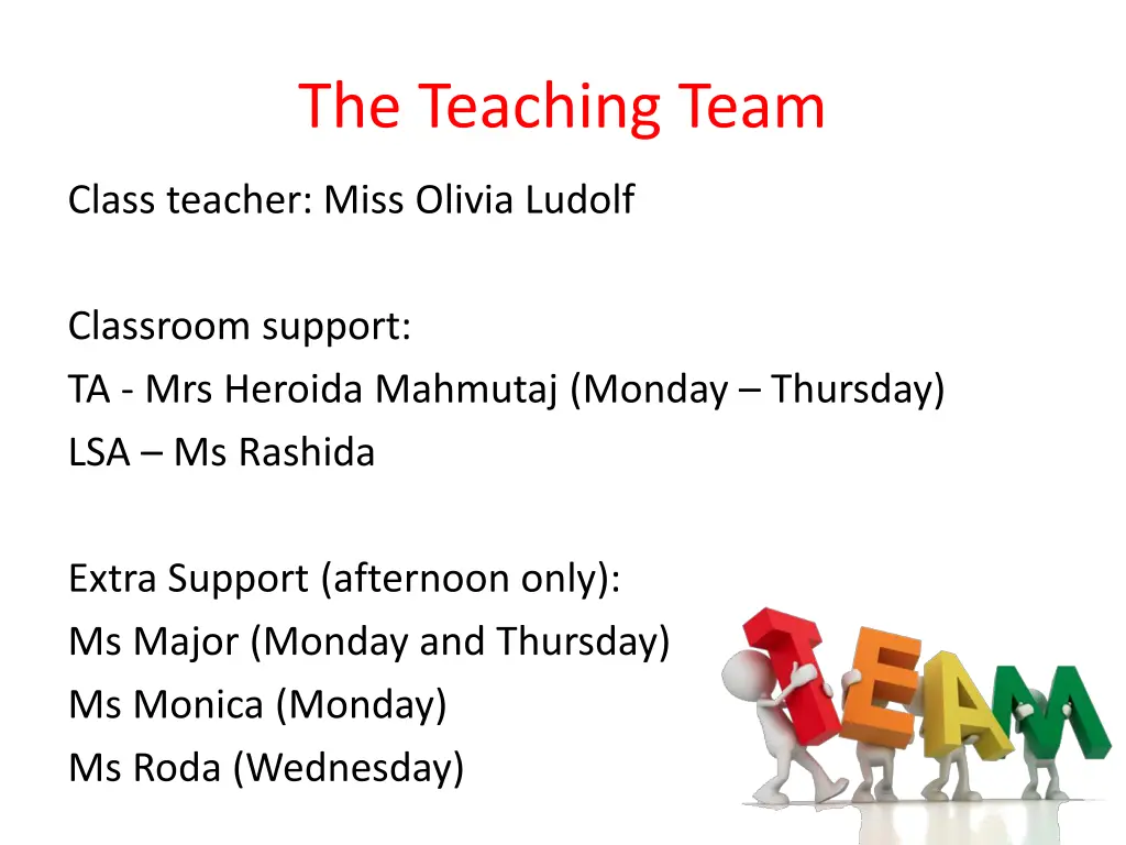 the teaching team