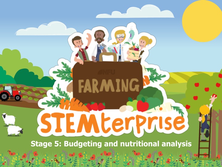 stage 5 budgeting and nutritional analysis
