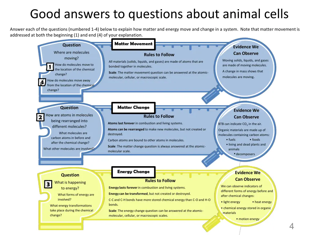 good answers to questions about animal cells