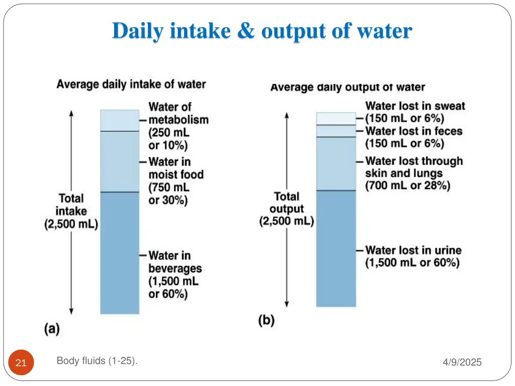 daily intake output of water
