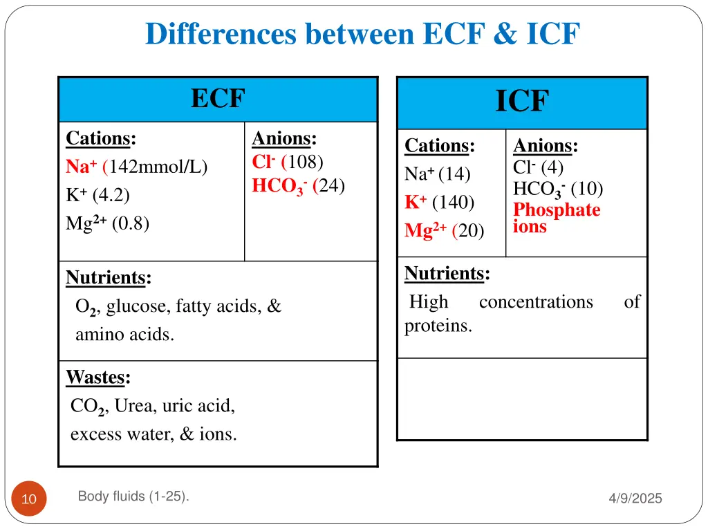 differences between ecf icf