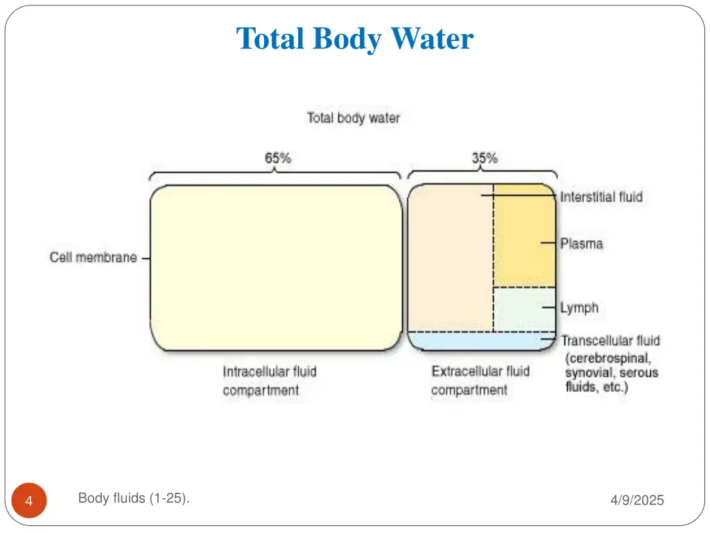 total body water