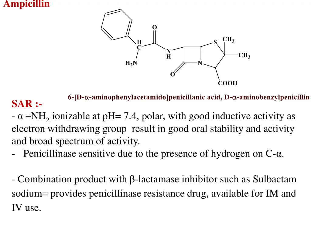 ampicillin