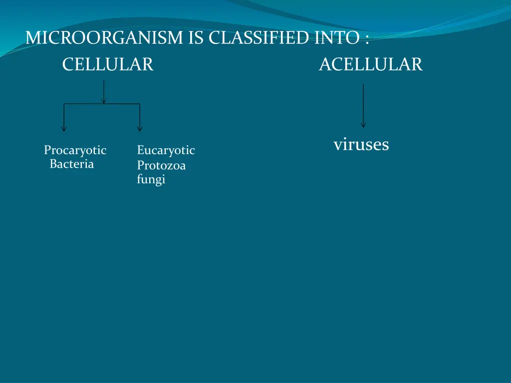microorganism is classified into cellular
