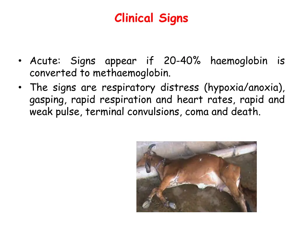 clinical signs