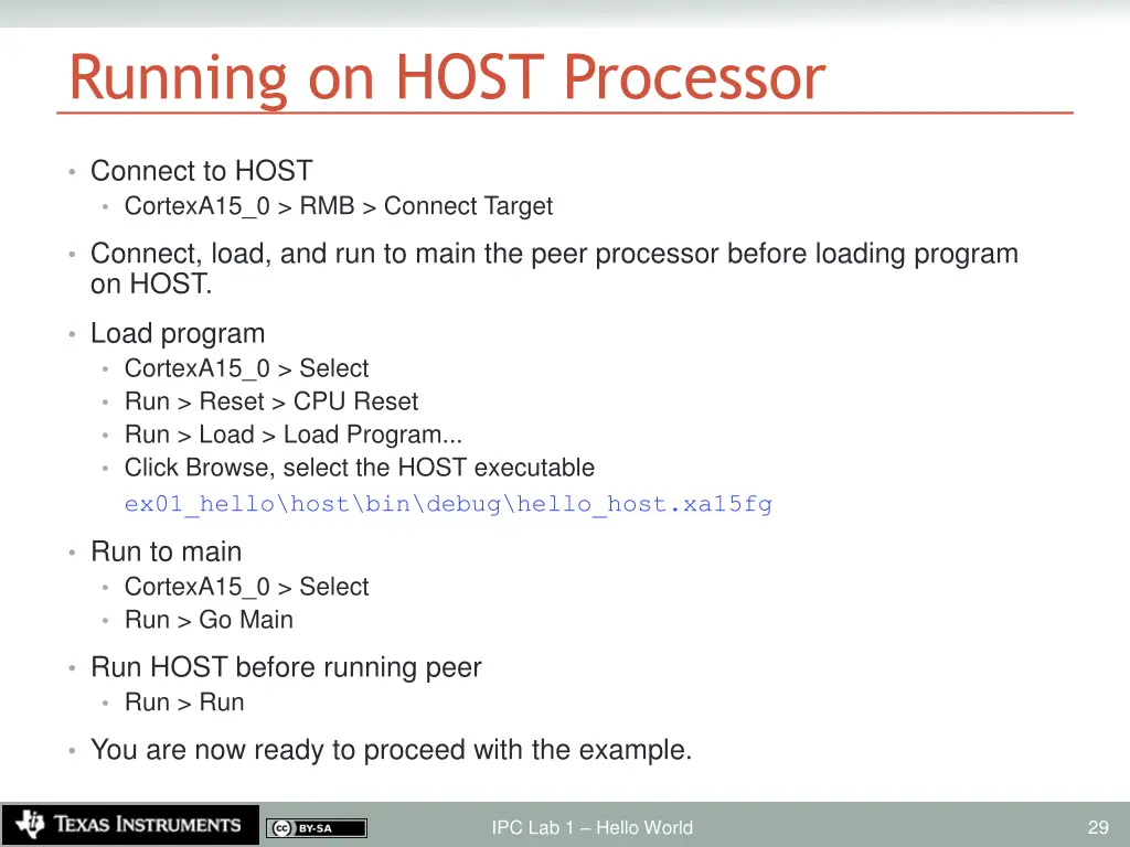 running on host processor