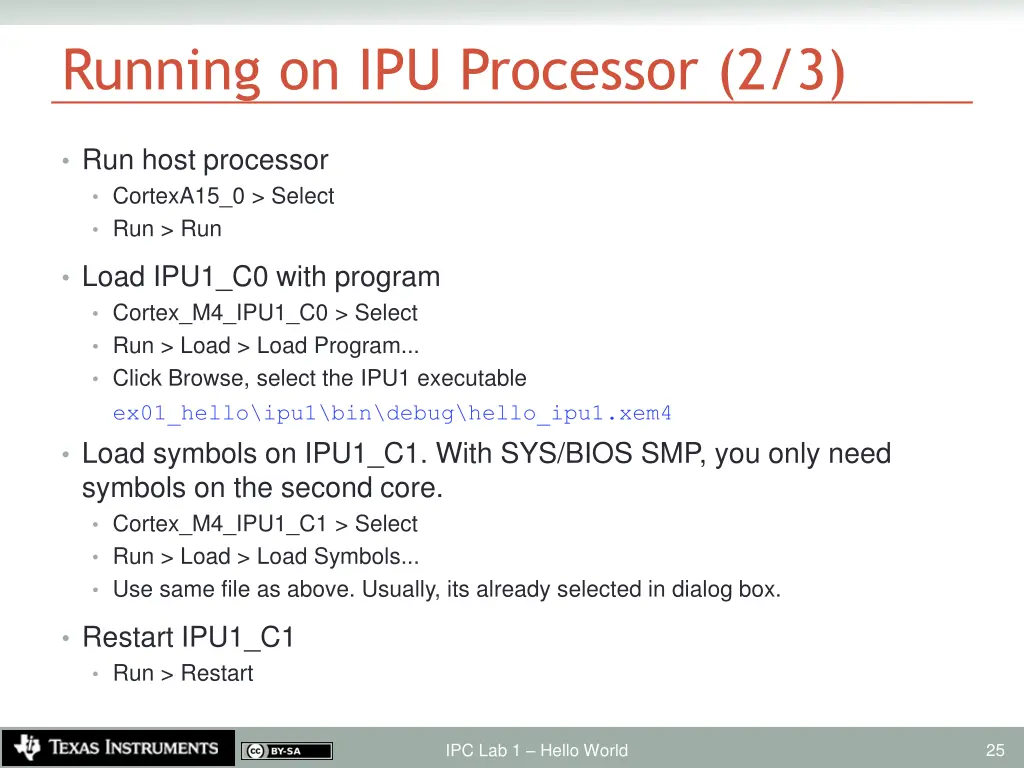 running on ipu processor 2 3