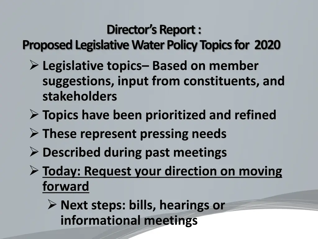 director s report