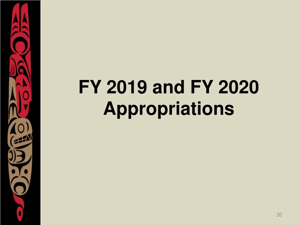 fy 2019 and fy 2020 appropriations