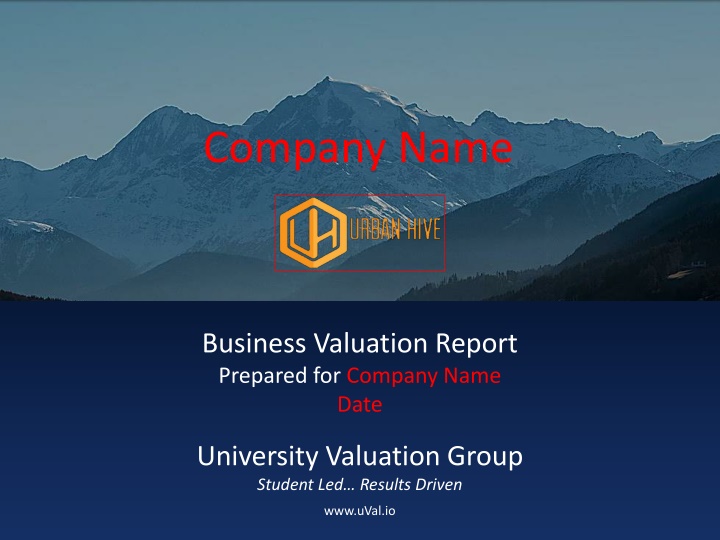 company name