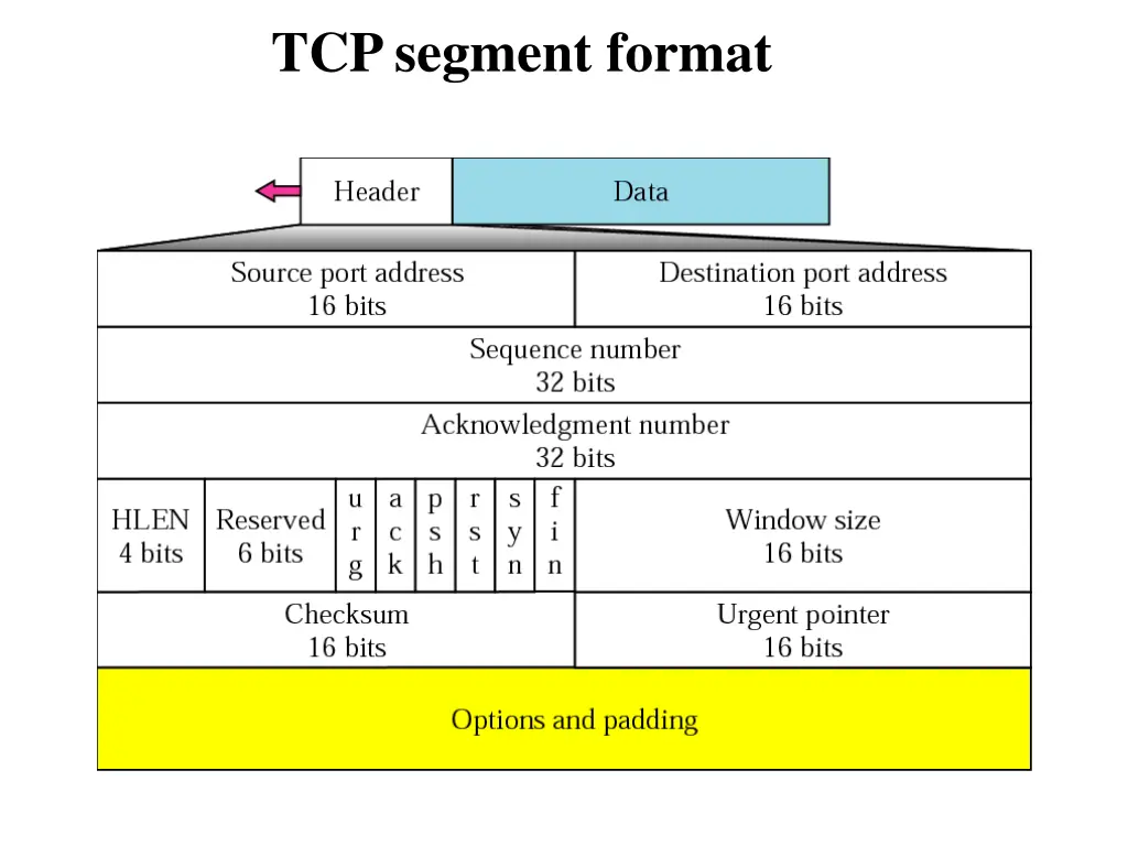 tcp segment format