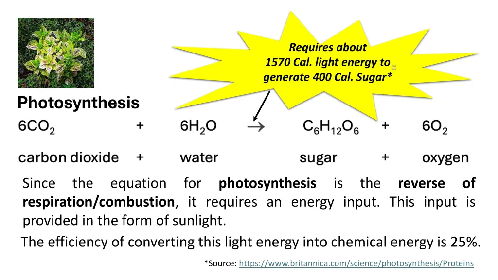 requires about 1570 cal light energy to generate