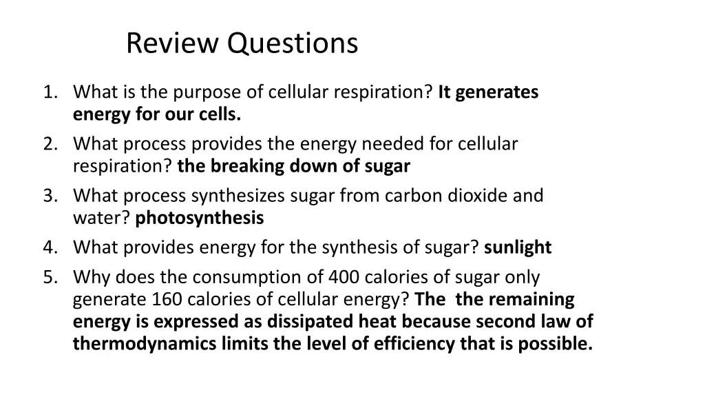 review questions 1