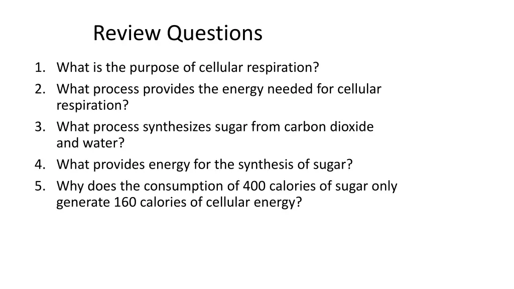 review questions