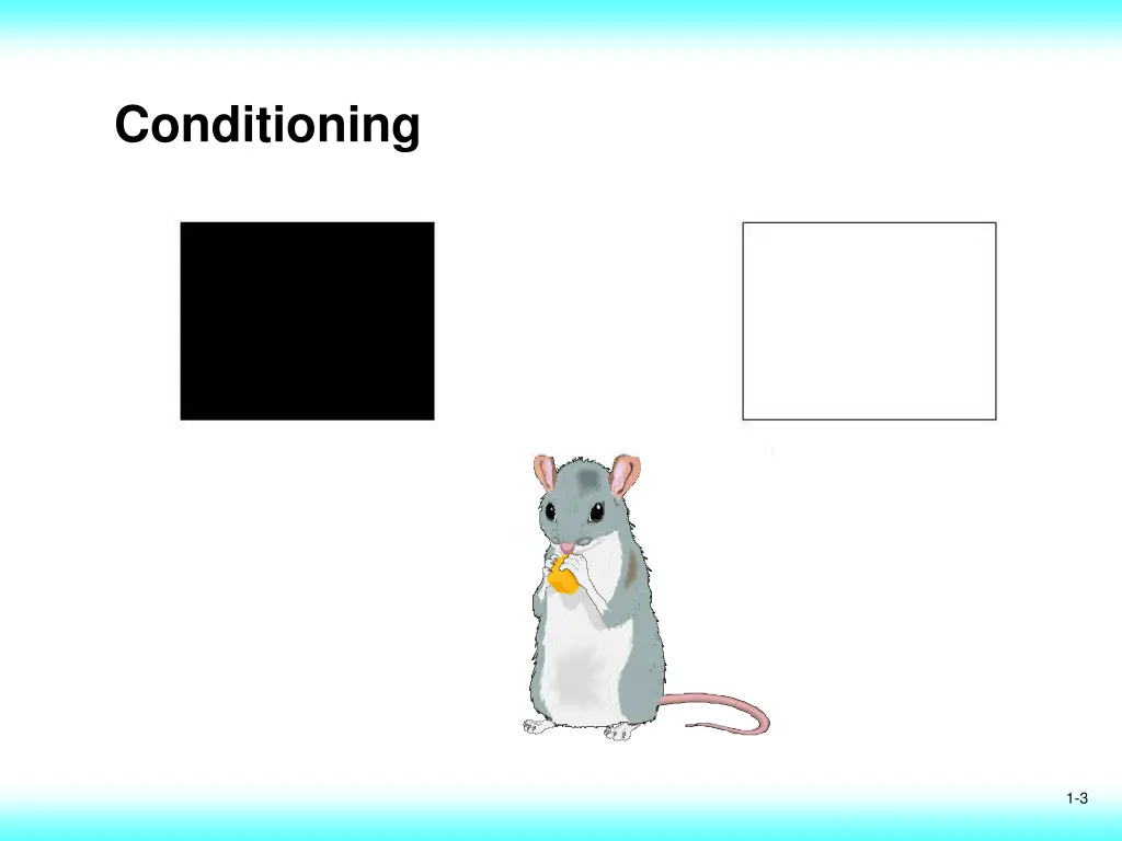 conditioning