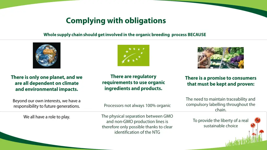 slide5