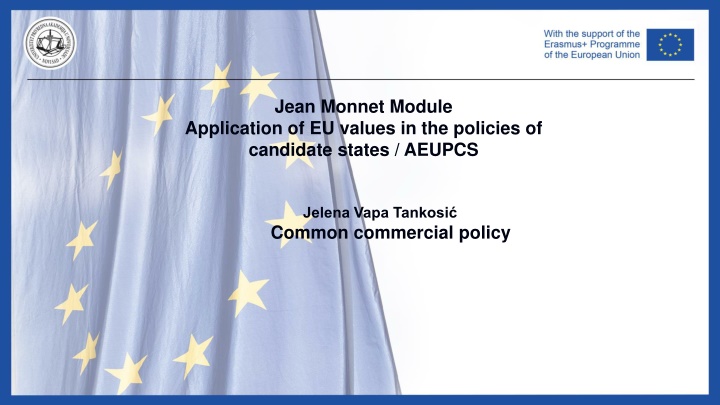 jean monnet module