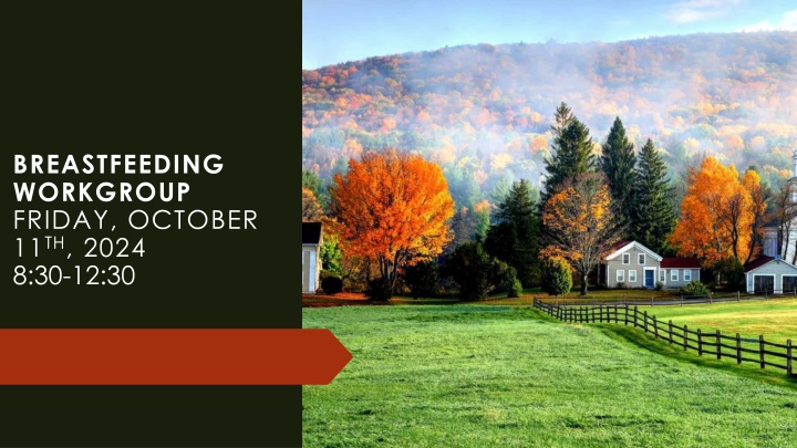 breastfeeding workgroup friday october 11 th 2024