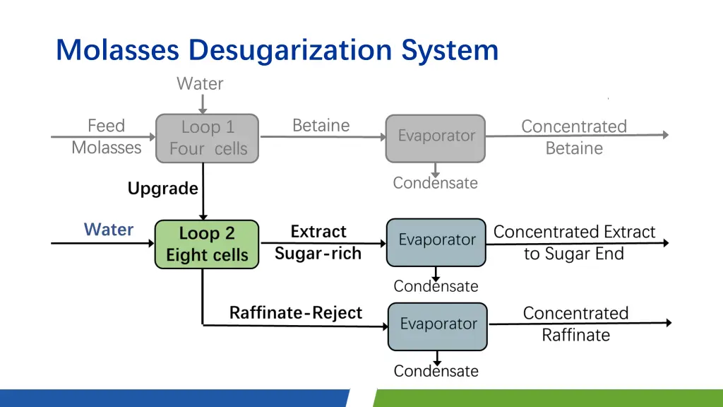 molasses desugarization system 1