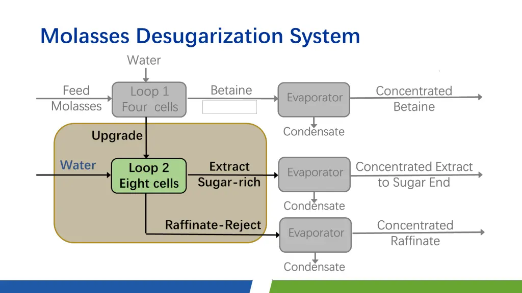 molasses desugarization system 2