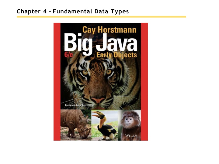 chapter 4 fundamental data types