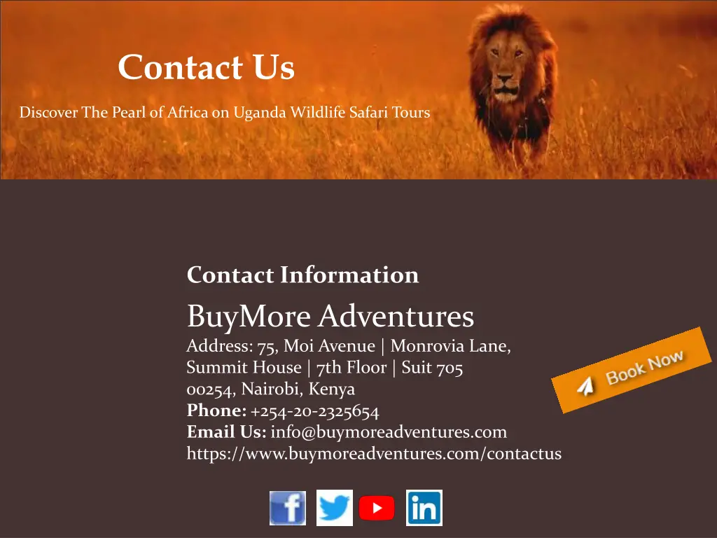 contact us