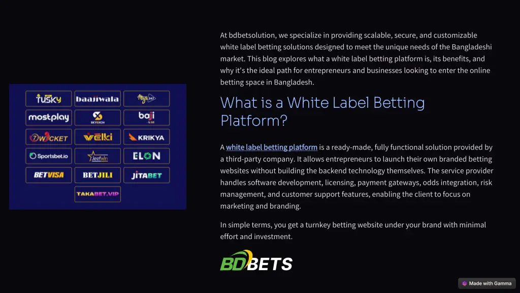 at bdbetsolution we specialize in providing