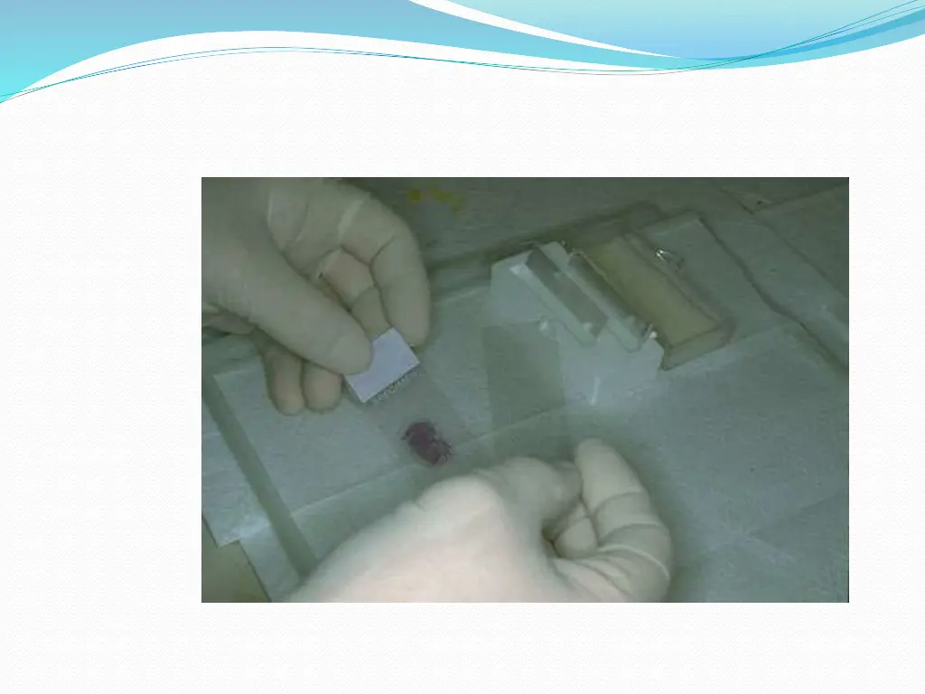 slide44
