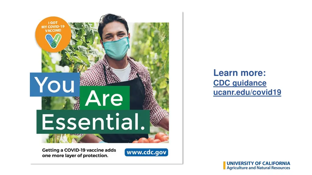 learn more cdc guidance ucanr edu covid19