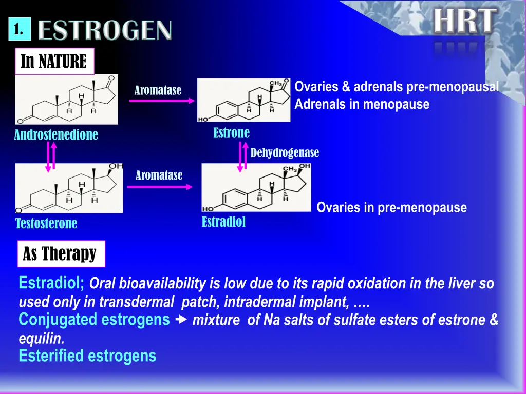 slide6