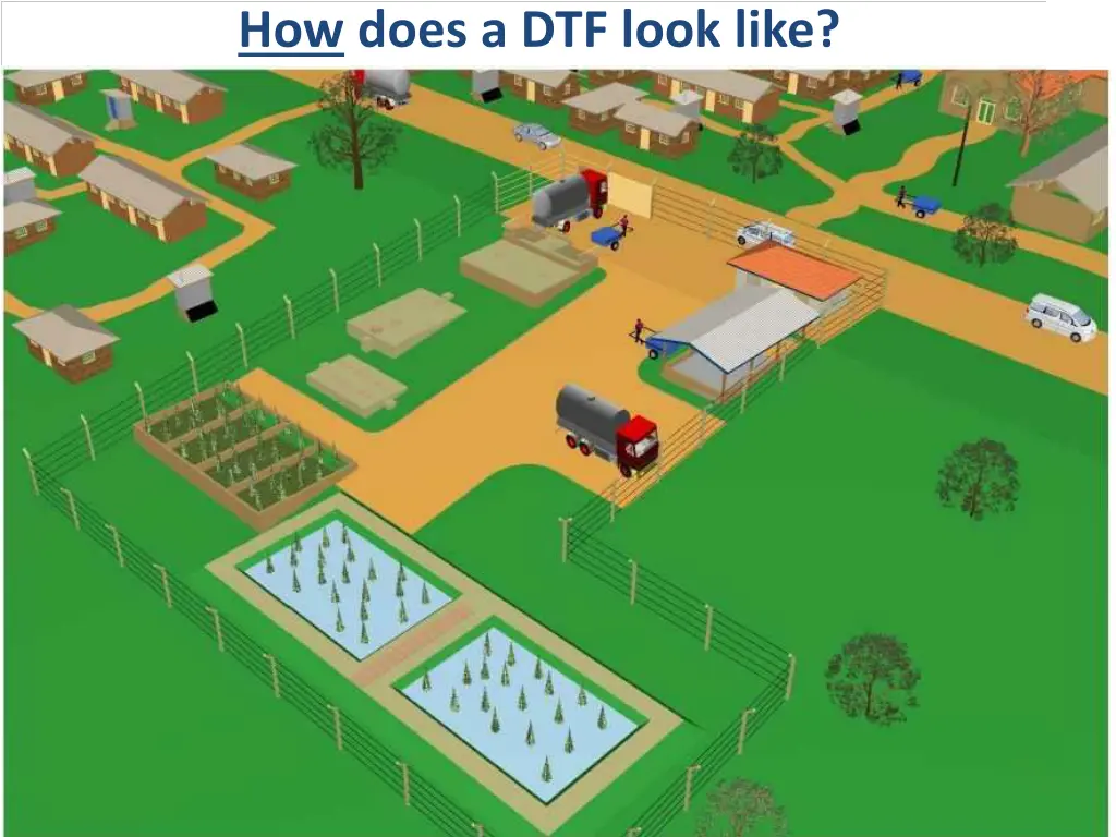 how does a dtf look like 1