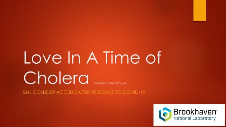 love in a time of cholera collisions in a time